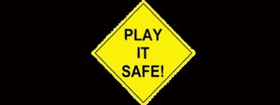Follow Your Passion or Play It Safe Follow Your Passion or Play It Safe