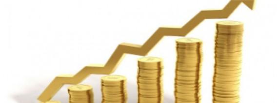 From Passion Into Profit