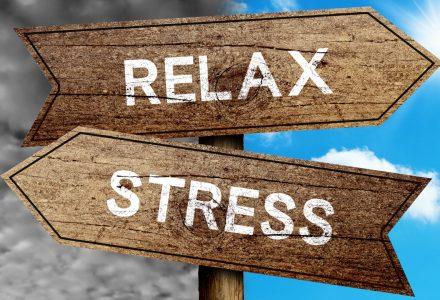 Can You Avoid Stress? If Not Here Are 12 Key Steps To Reduce It!